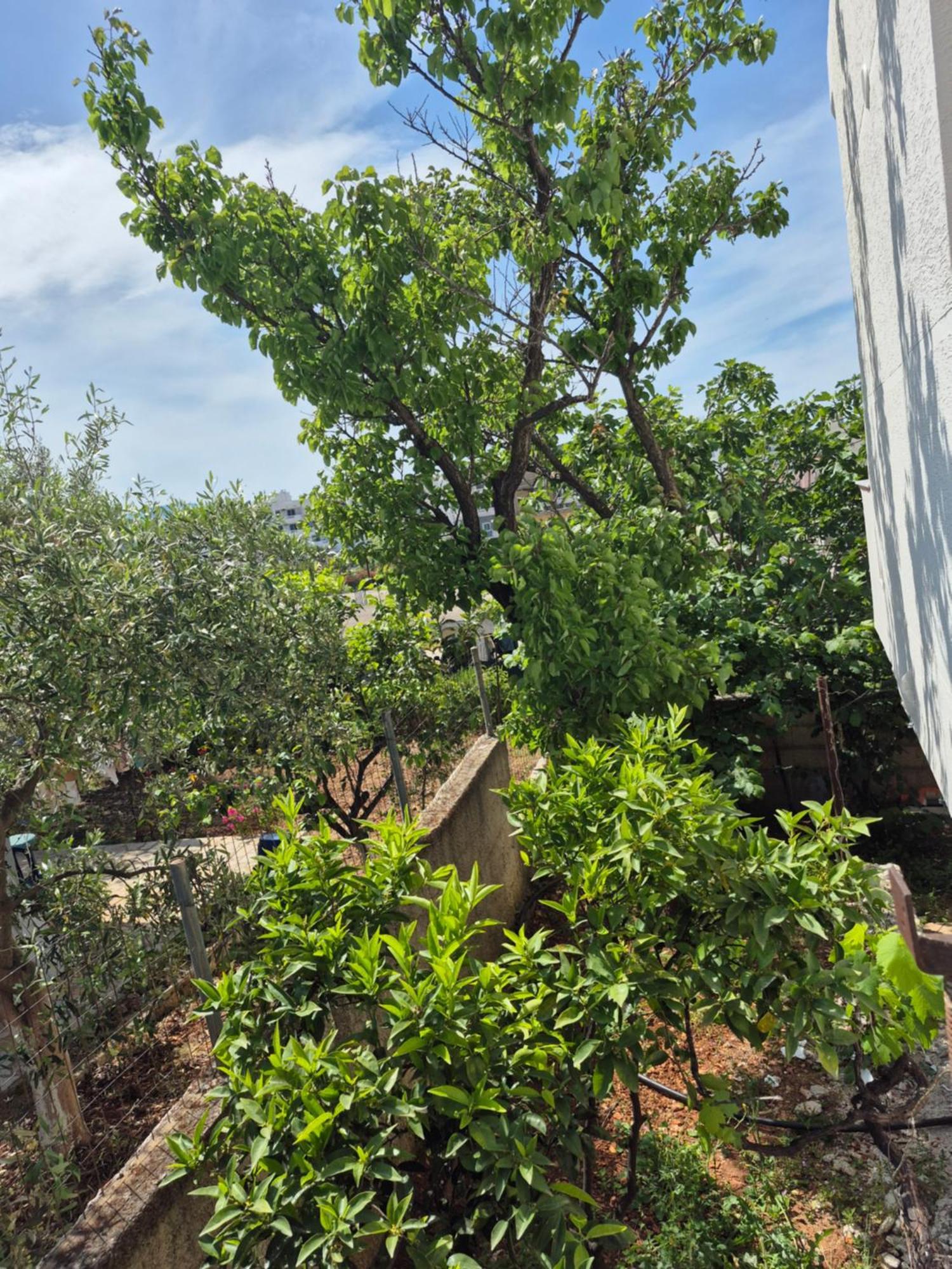 Vita Apartment - Spacious Garden And Balcony 5 Min To Beach & Center クサミル エクステリア 写真