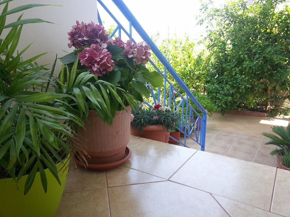 Vita Apartment - Spacious Garden And Balcony 5 Min To Beach & Center クサミル エクステリア 写真